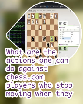 Chess bot online