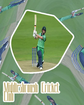 Nysd play cricket